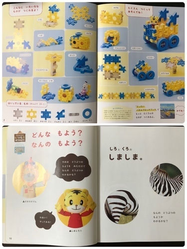 93CA69B0-D638-4791-AD05-1C37020B0653.jpeg