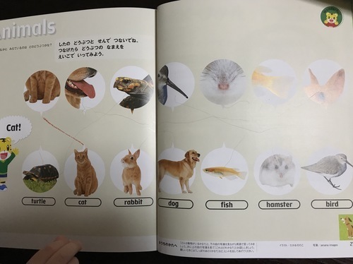 B12BDE15-97F6-4CF5-B1E3-FAF1588865AF.jpeg