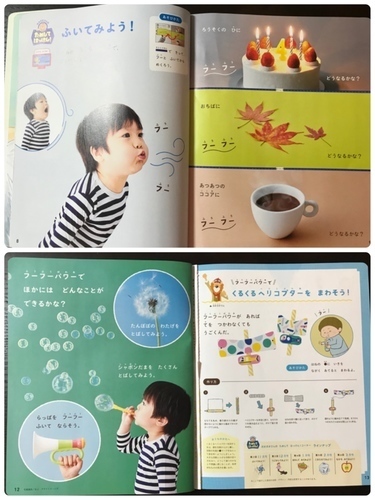 B58633EA-E380-4138-B477-EBA0CFB130CB.jpeg