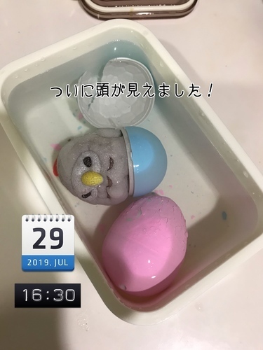 BAA3B771-2895-4F7C-BBED-5FE2C612899F.jpeg