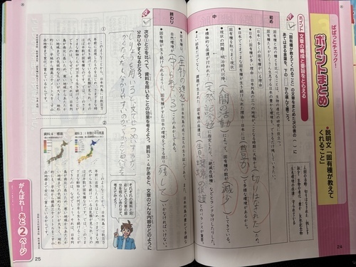 IMG_2889.jpeg