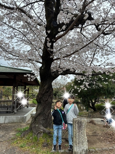 IMG_6029.jpeg