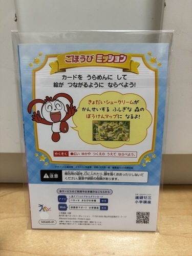IMG_6579.jpeg